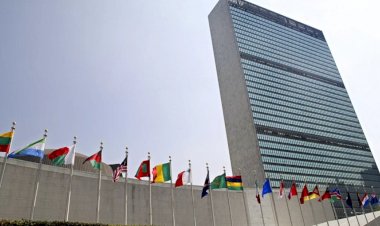 POLÍTICA Brasil vai integrar Conselho Econômico e Social da ONU